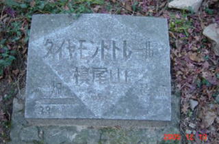 �_�C�������h�g���[���N�_