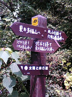 ����킵�����W