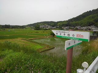 田園コース