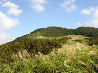 �X�X�L�쌴����O�\�O�ԎR