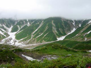 �G���}�䂩�痋����