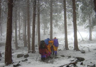 ����̒������R