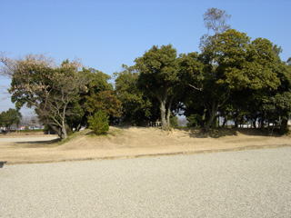 �����{��