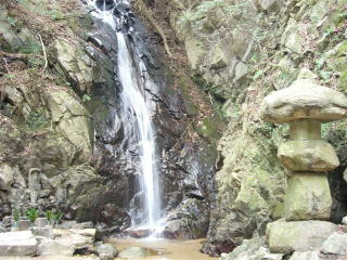 �����̑�