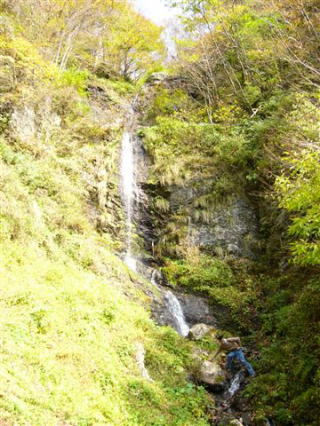 �ܒ��q�̑�