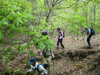 �Y���J���s��