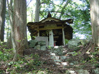 �����̔����{