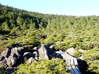 ����̒��𔒋��