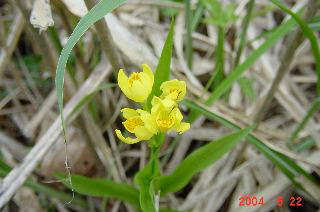 �`�����H