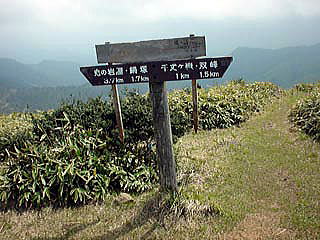 ���ޕ�R��