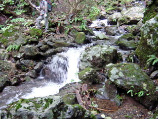 ���͂����Ƀq��������