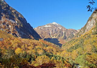 �{�J����n��