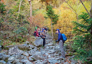 �{�J���t��