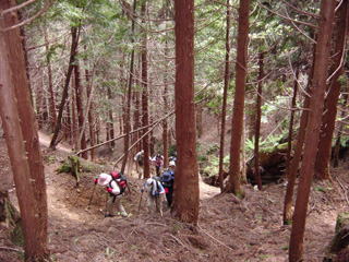 �z�g�P�J�����