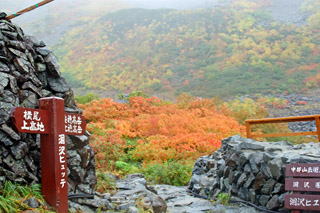 ����q���b�e