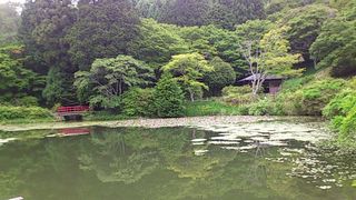 池
