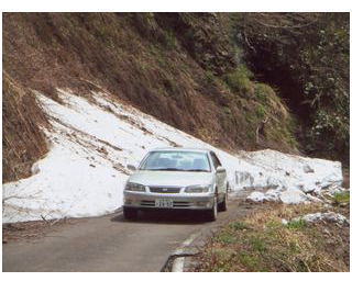 �Ԃ͍s���~�܂�