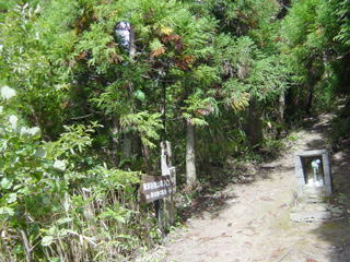 �h���x�o�R��