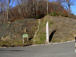 �o�R�������