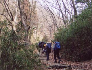 �΂����݂̓�