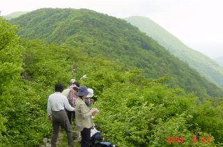 ������Ƌx�e