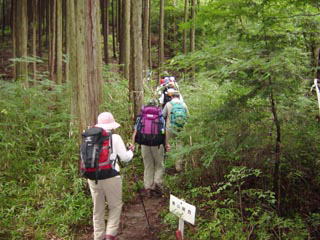 ���ꓻ�ւ̓�