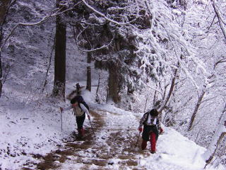 �K�i�̕��������