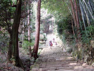 ��������808�i