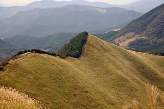 �T�R�̗Ő������Ȃ���