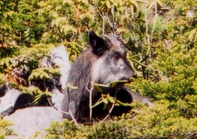 �J���V�J����