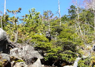 �J���V�J����