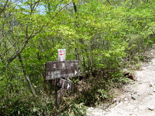 ����ƒ�����������