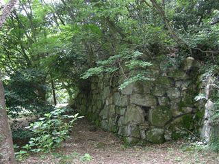 �ω������隬