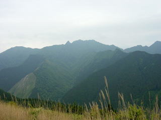 �ω����W�]�䂩��̒���