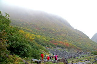 �J�[����