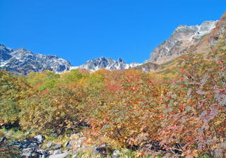 ����Ɵ��x��