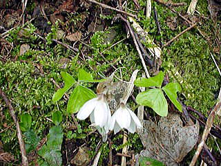 �~���}�J�^�o�~