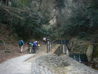 �����̑ꂩ��