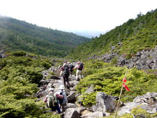 �΂̉͌��ʉߒ�