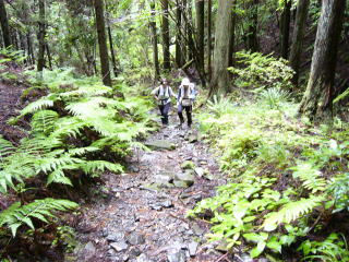 �J�����̓����s��