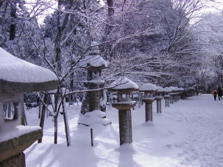 雪帽子の灯篭