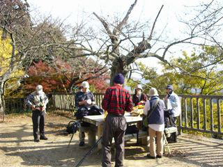 �{���������W�]�L��