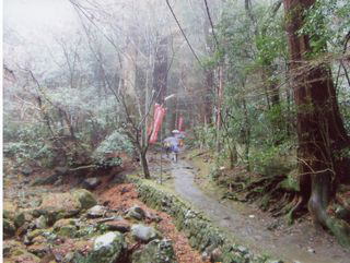 ���s���k�J