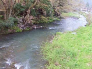 �k�������̓�