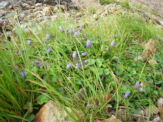 �C���M�L���E