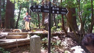 木の根道