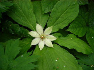 �L�k�K�T�\�E