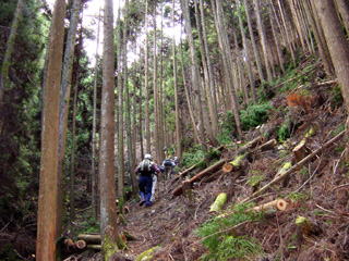 ���ؗ��̒������