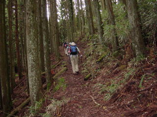 ���ؗ��̓�̐�����