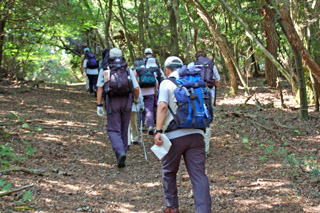 �ؘR����̉���